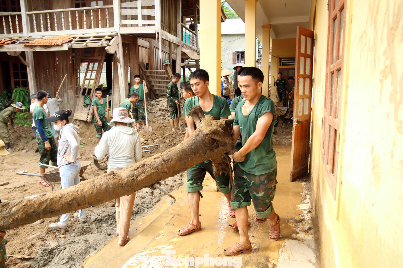 Những cây gỗ lớn bị vùi lấp trong đất đá được đào lên và mang ra ngoài.