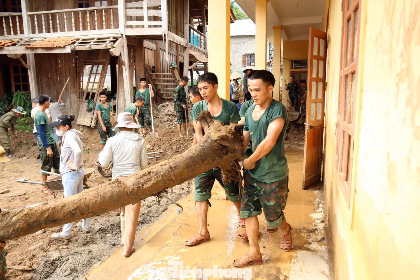 Những cây gỗ lớn bị vùi lấp trong đất đá được đào lên và mang ra ngoài.
