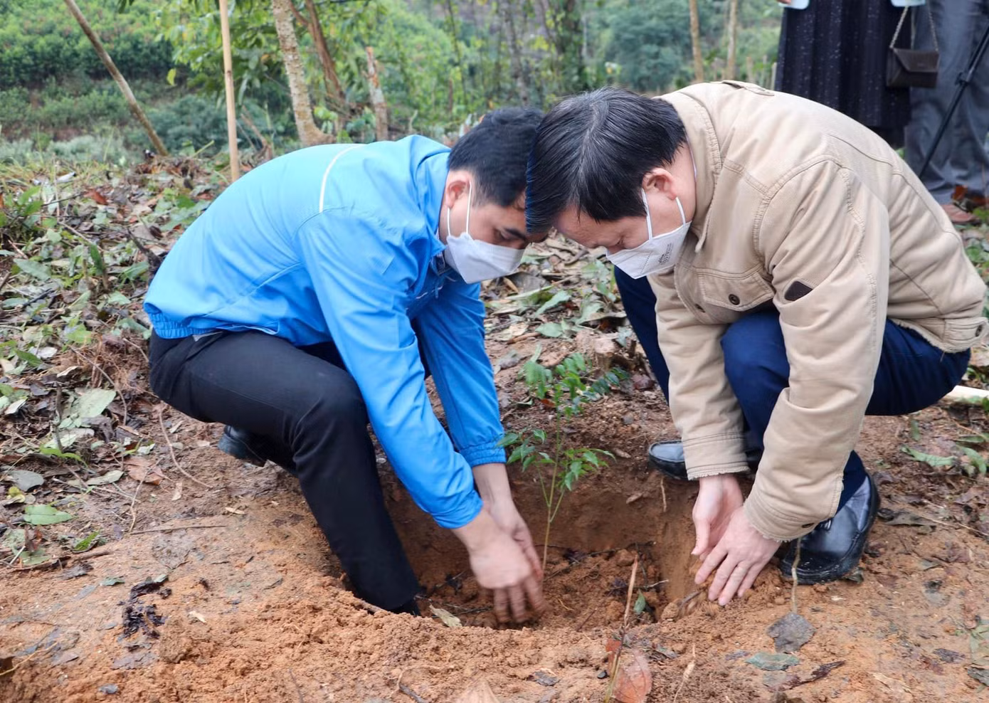 Thông qua chương trình, Tỉnh đoàn, Hội LHTN tỉnh Nghệ An phát động phong trào “Mỗi cán bộ, đoàn viên, hội viên, thanh niên trồng và chăm sóc ít nhất 1 cây xanh”. Trong ảnh, anh Thái Minh Sỹ - Phó Bí thư tỉnh đoàn Nghệ An (trái) trồng cây.