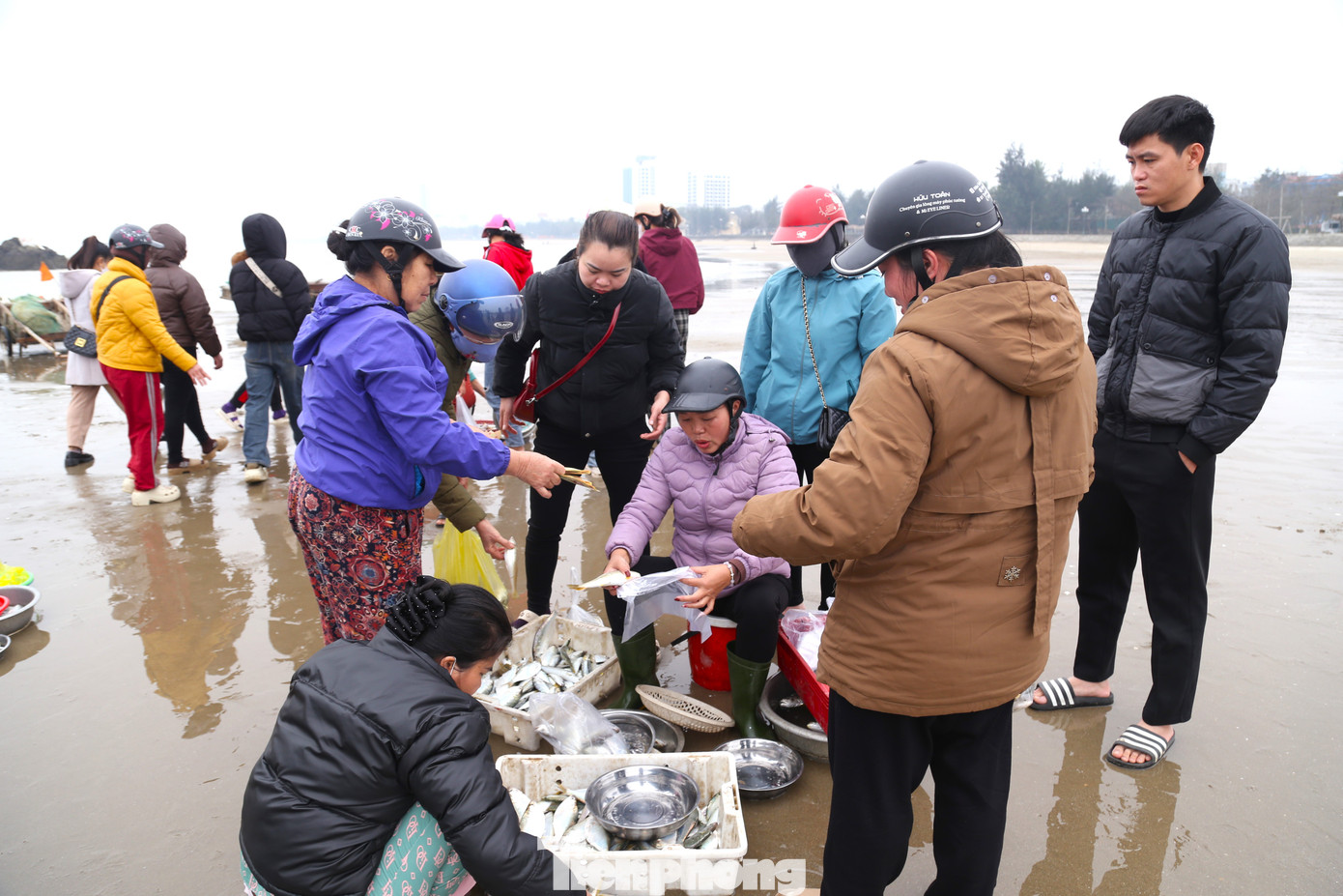 Cảnh mua bán huyên náo, tấp nập một góc bãi biển lúc sáng sớm.