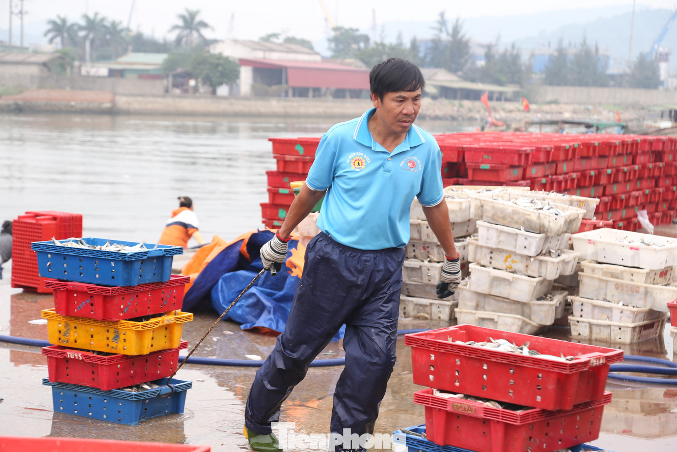 Anh Nguyễn Văn Danh (42 tuổi) cho hay, bình thường anh bốc hàng từ 4 giờ sáng đến tầm trưa là xong. Mấy hôm nay thuyền đánh bắt được nhiều, anh em làm quần quật đến chiều tối. Vất vả nhưng bù lại, mỗi ngày có thể kiếm trên dưới 1 triệu đồng. “Chúng tôi chỉ mong ngày nào cũng có việc làm”, anh Danh nói.