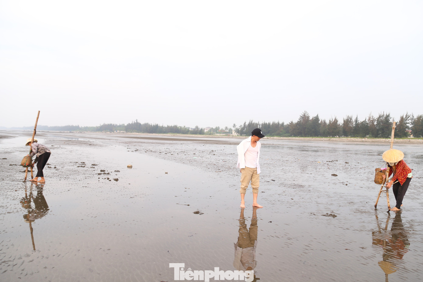 Khi thủy triều rút cũng là lúc những người phụ nữ xã Hải Hùng, huyện Diễn Châu, Nghệ An ra biển để cào ngao.