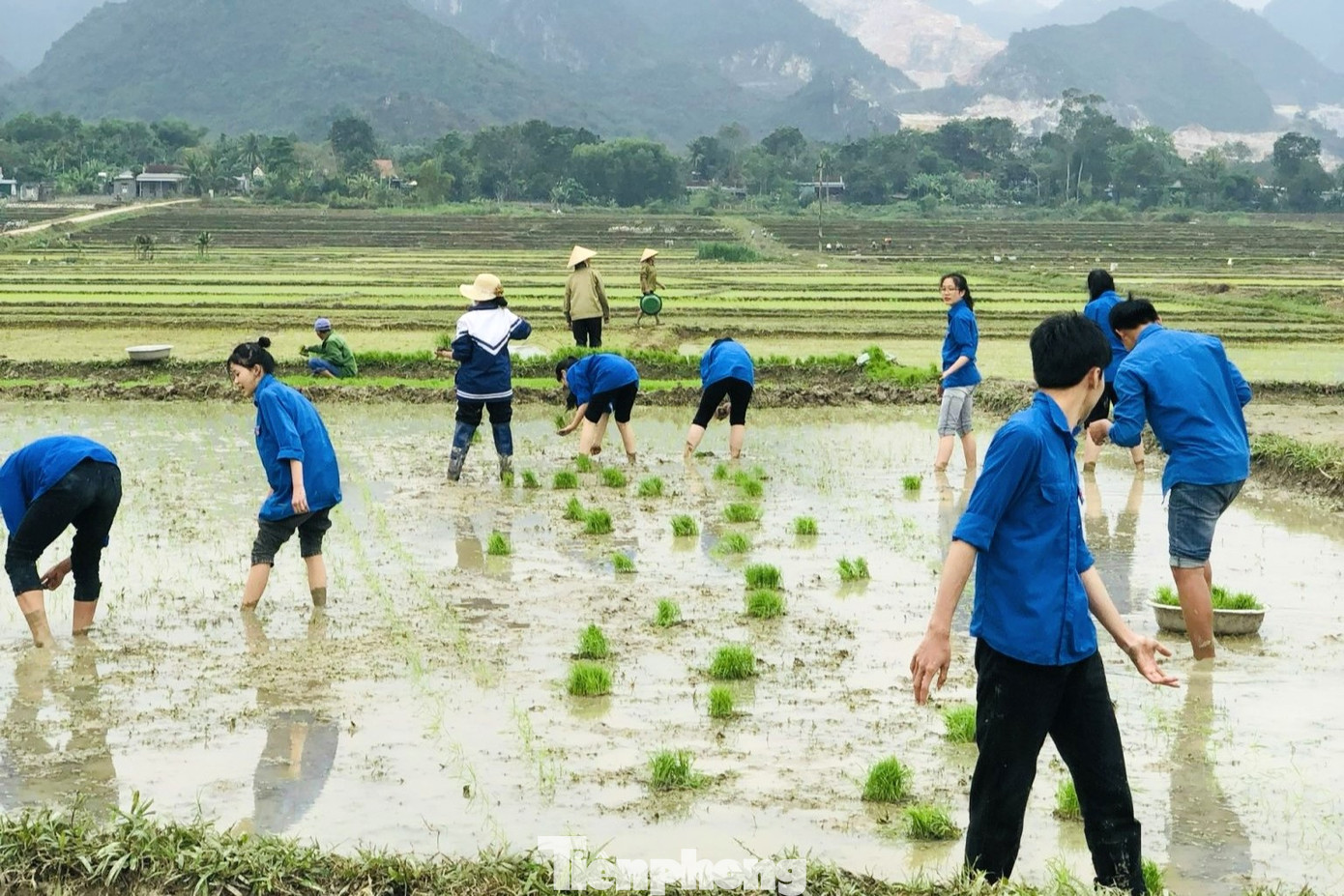 Anh Hồ Đệ - Bí thư Đoàn trường THPT Quỳ Hợp 3 chia sẻ: “Với mong muốn thể hiện tinh thần trách nhiệm, xung kích tình nguyện của tuổi trẻ đối với người dân, Đoàn trường đã thành lập các đội thanh niên tình nguyện giúp cấy lúa, nạo vét kênh mương, hỗ trợ các gia đình chính sách, hoàn cảnh khó khăn để kịp tiến độ vụ lúa”.