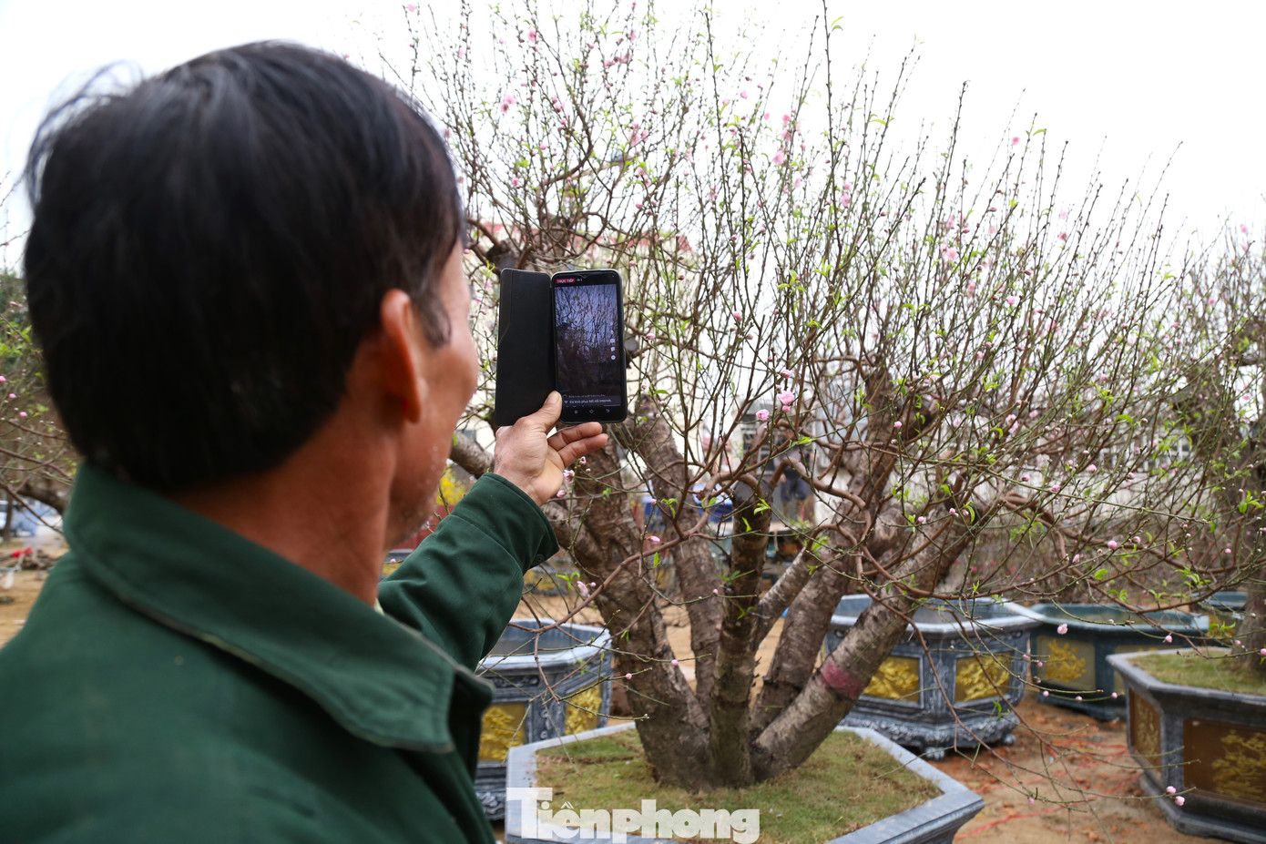 Nhiều người thích thú livestream trên các trang mạng xã hội.