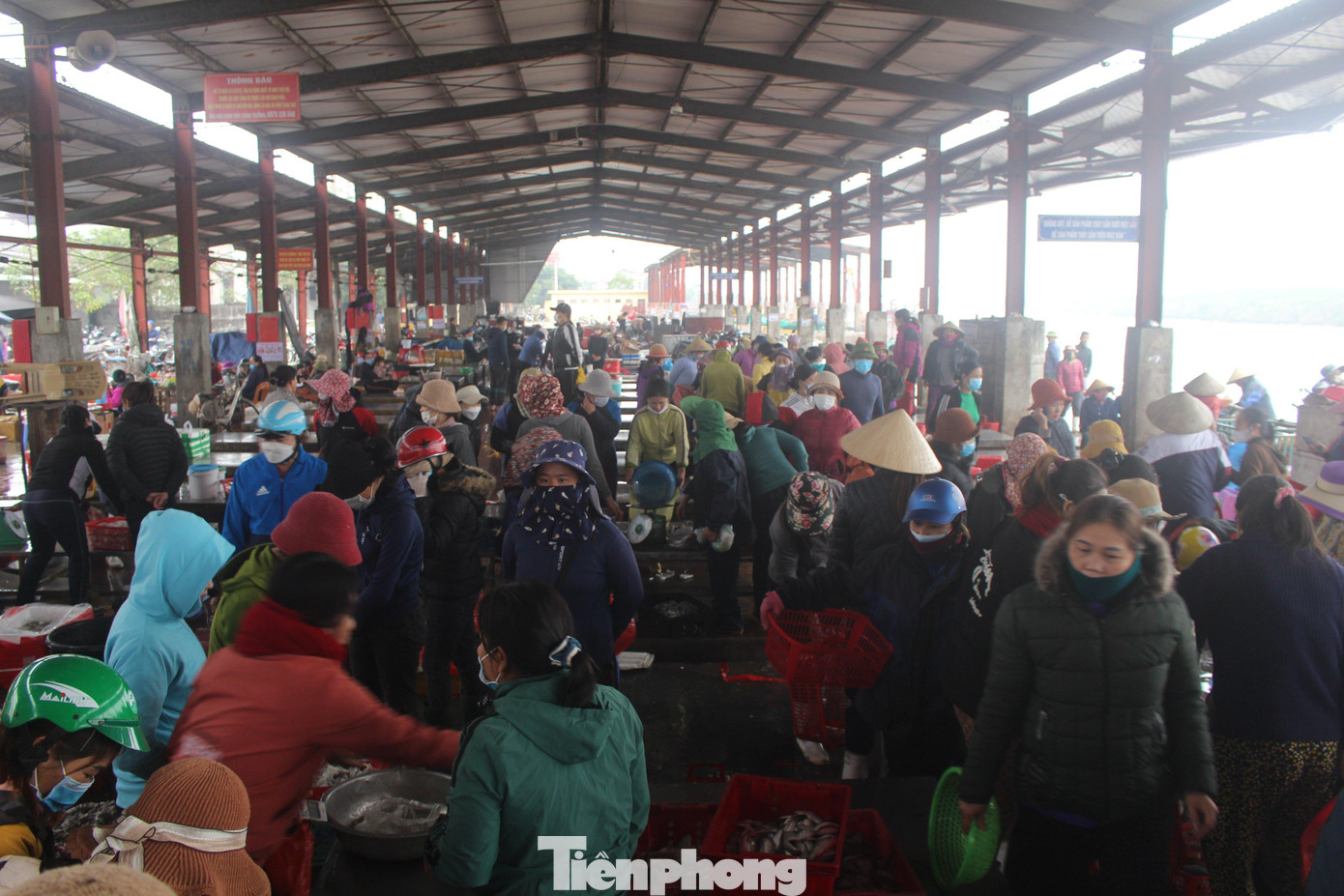 Ông Ngô Xuân Thủy – Cảng trưởng cảng cá Lạch Vạn (thuộc Ban quản lý Cảng cá Nghệ An) cho biết, Cảng cá Lạch Vạn là một trong những cảng cá lớn nhất tỉnh Nghệ An. Nơi đây có khoảng 1.500 tàu cá thường xuyên ra vào. "Chuyến biển đầu năm mới đã mang lại thu nhập cho bà con ngư dân. Tại khu vực trao đổi hàng hóa, mua bán tại cảng cá, chúng tôi thường xuyên tuyên truyền cho bà con ngư dân, các thương lái phải đảm bảo công tác phòng chống dịch bệnh".