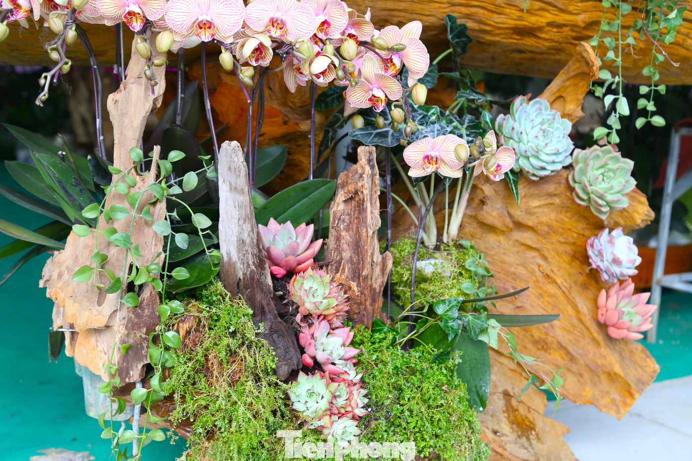 Tác phẩm được trang trí nhiều tiểu cảnh để tạo điểm nhấn.