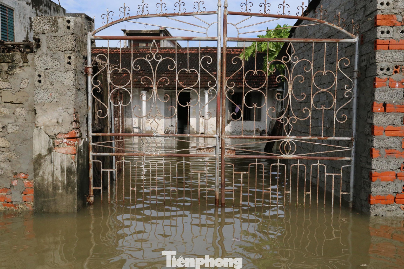 Nước lũ rút chậm khiến nhiều nhà dân ở xã Quỳnh Hồng còn ngập đến nửa nhà.