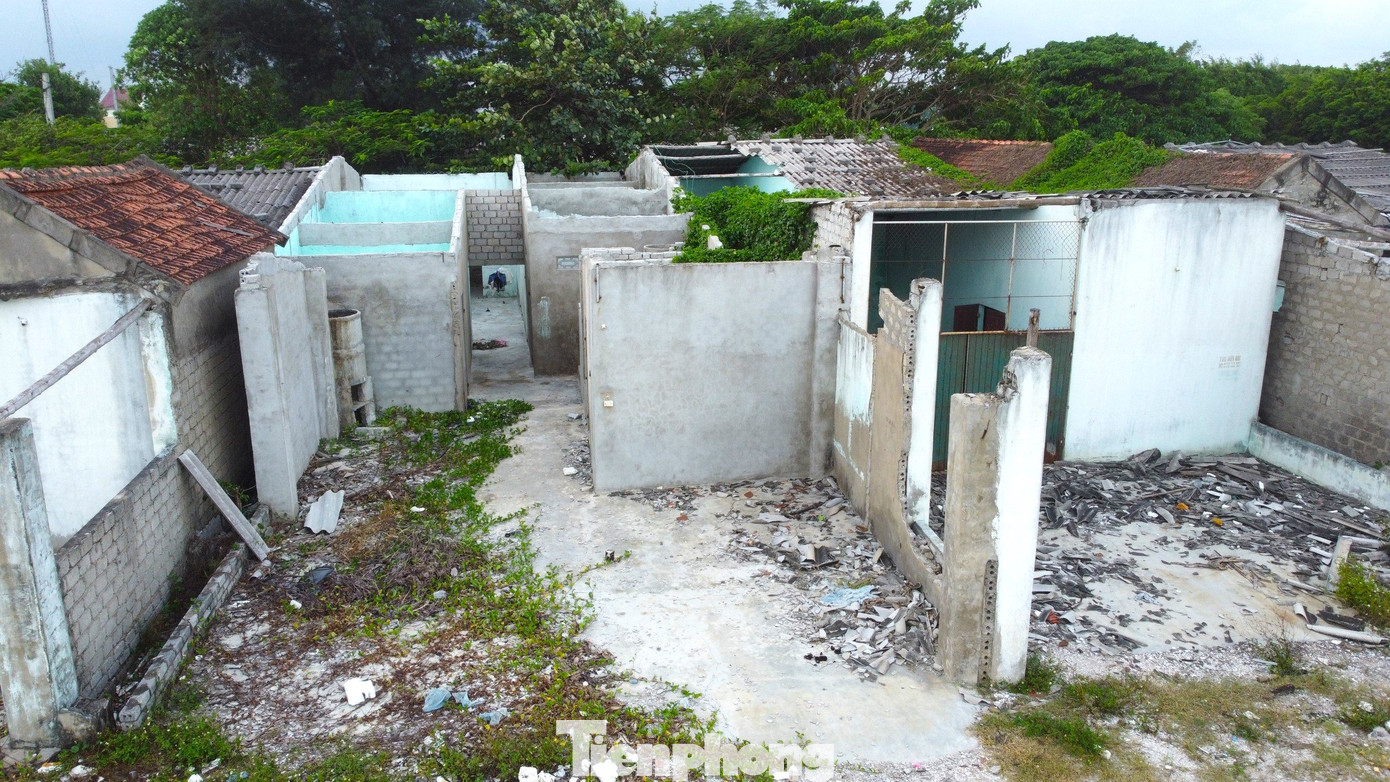 Tệ nạn mại dâm tại khu vực biển Hòn Câu rộ lên vào khoảng năm 2013. Thời điểm đó, Hòn Câu còn được gọi là “phố đèn đỏ” hay “thiên đường sung sướng”.