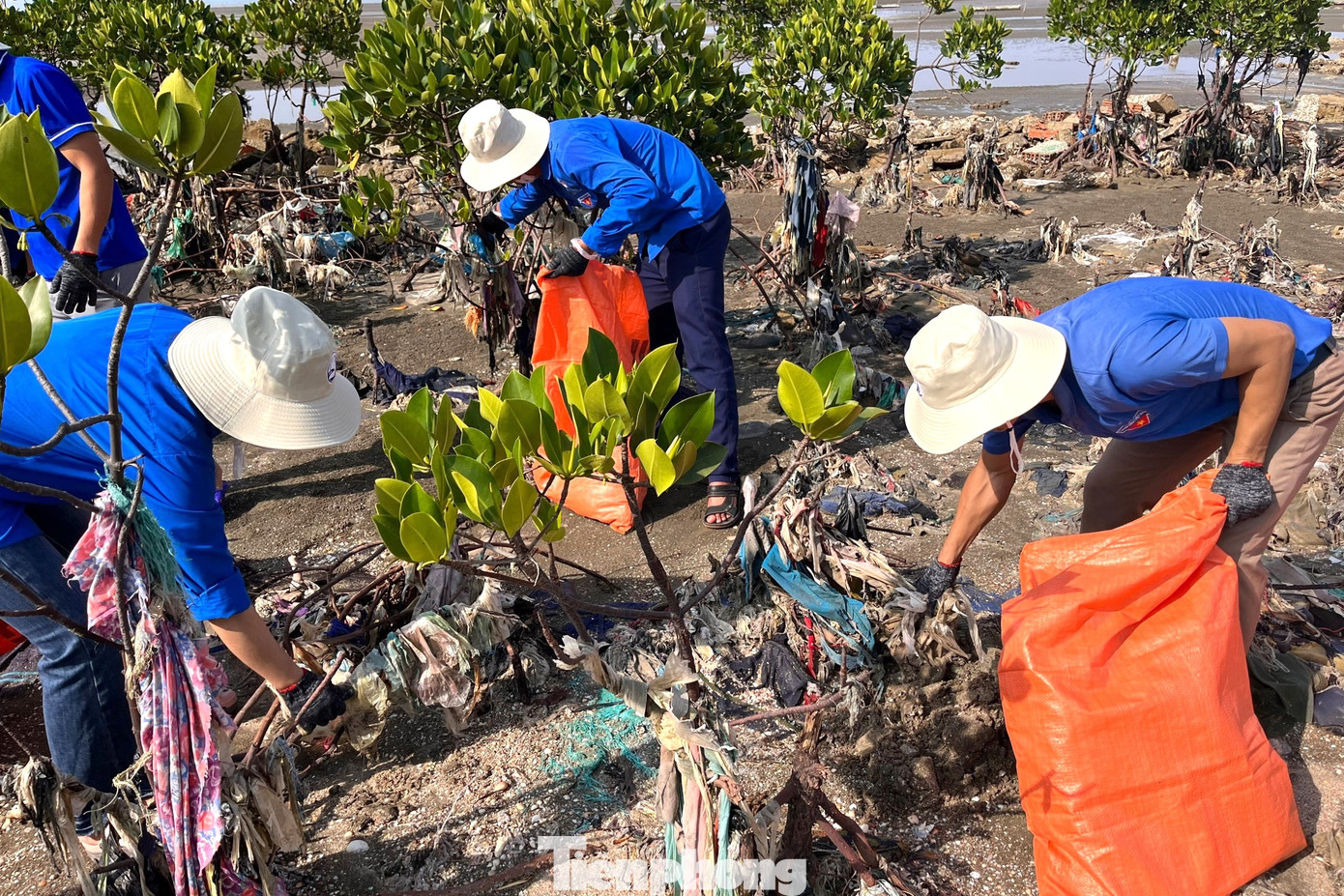 Thời gian qua, khu vực này phải "sống chung" với rác. Nguyên nhân là do các đợt mở cửa sông, bèo và rác thải các loại đã đổ dồn ra biển, bên cạnh đó là ý thức chưa cao của người dân vô tư xả rác trên bãi biển này.