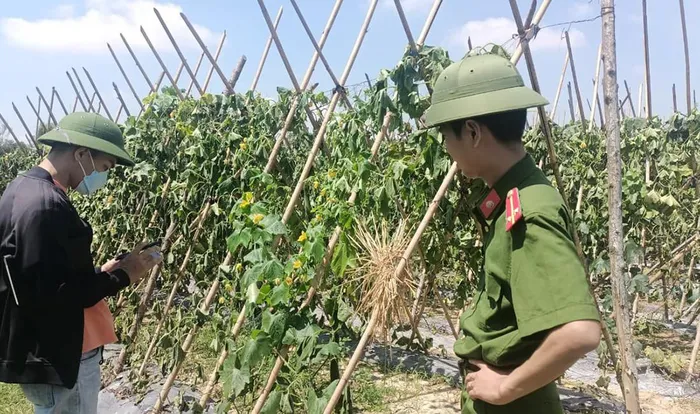 Cơ quan công an có mặt tại vườn bí xác minh sự việc