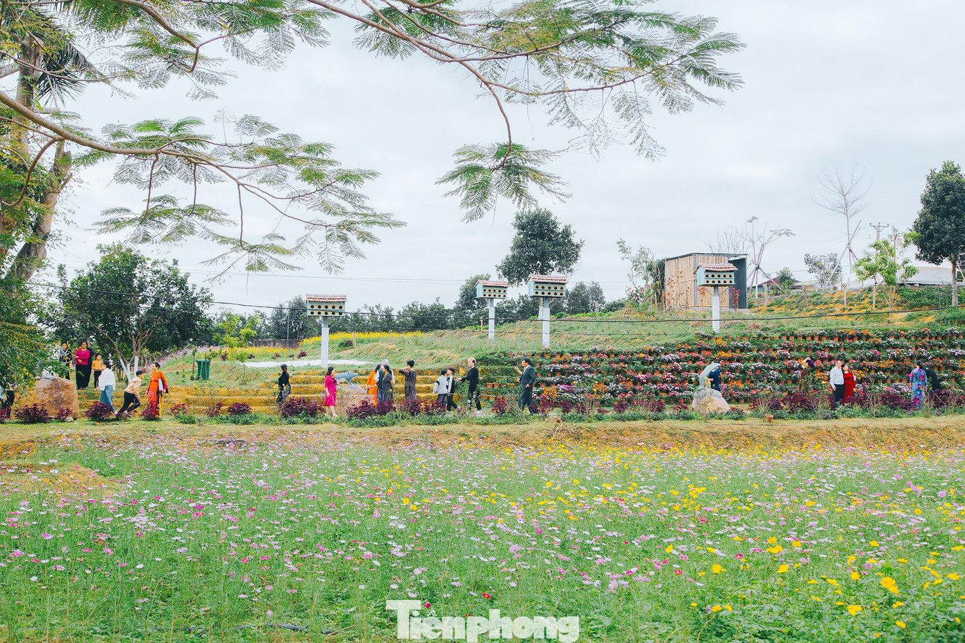 Được ví là Đà Lạt thu nhỏ tại Nghệ An, Khu du lịch sinh thái Hòn Mát ở xã Nghĩa Lộc, huyện Nghĩa Đàn luôn thu hút khách tới tham quan trong những ngày nghỉ Tết dương lịch.
