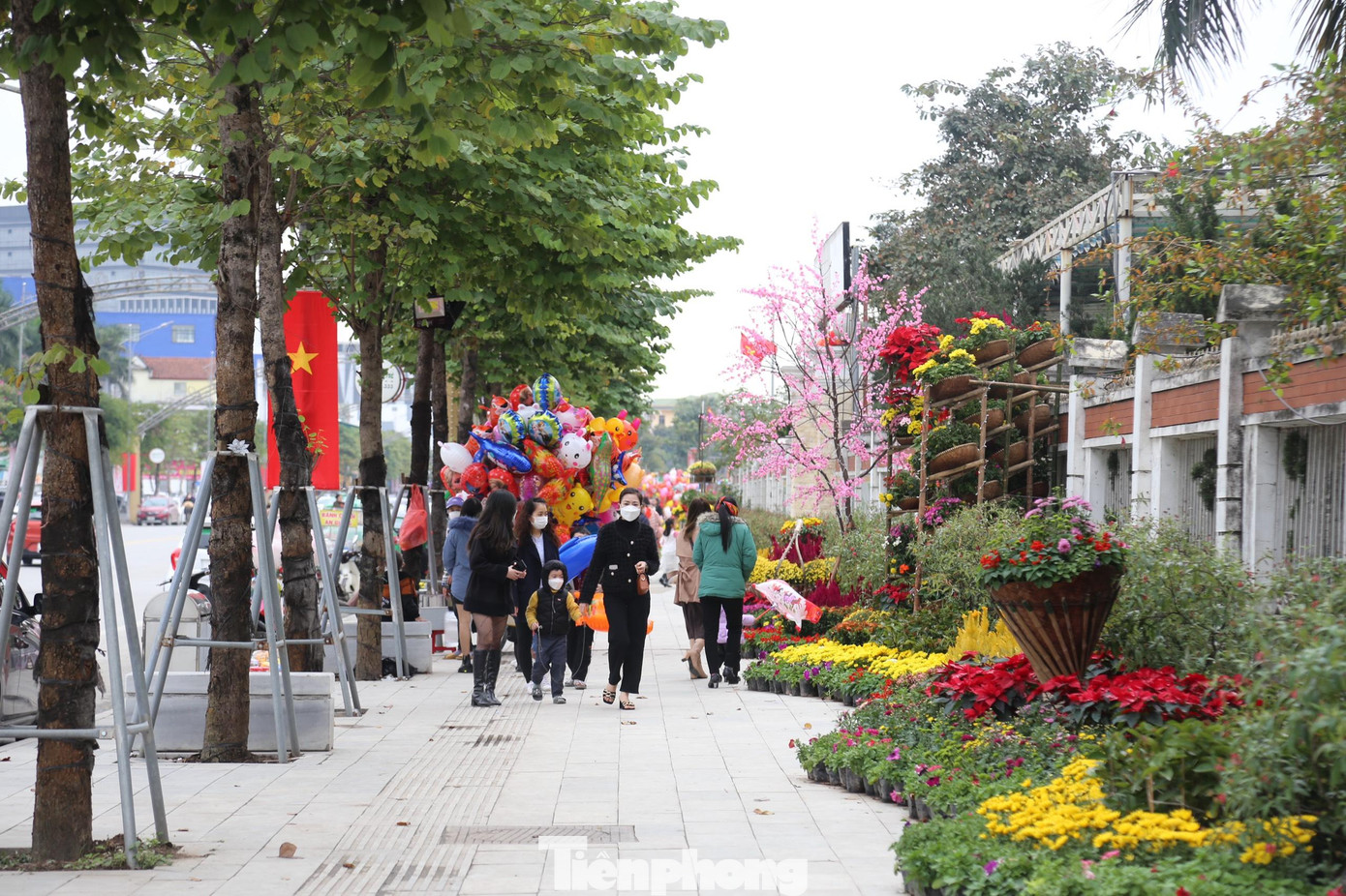 Đường Hồ Tùng Mậu là tuyến phố đi bộ chính