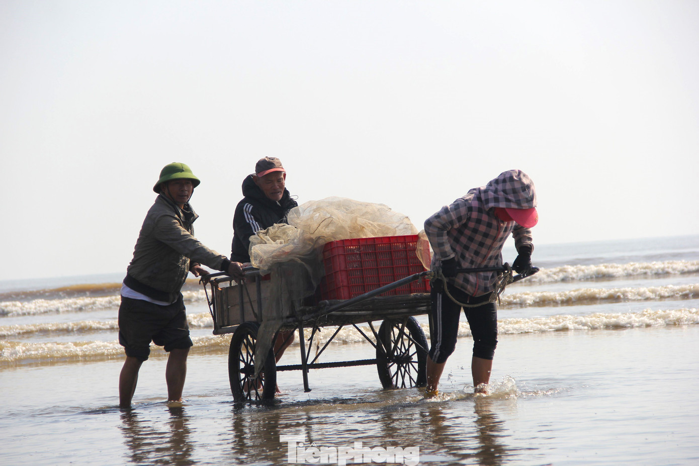 Ngư dân mang ruốc lên bờ.