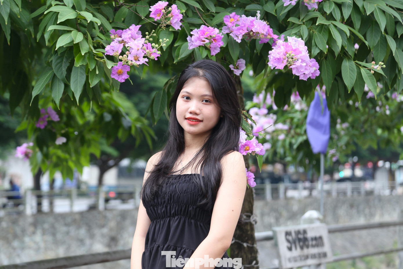 Con đường hoa bằng lăng trở thành địa điểm thu hút các bạn trẻ đến tạo dáng, chụp ảnh.