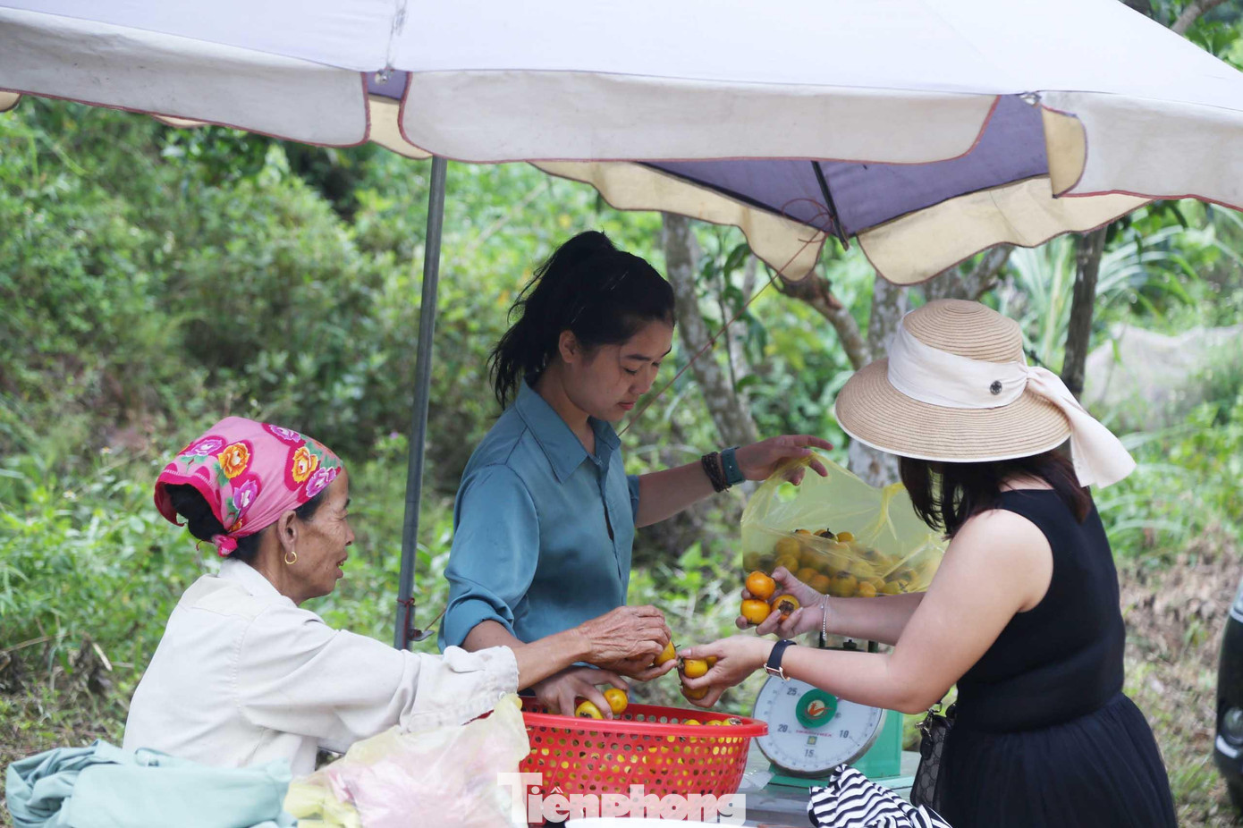Sau khi trải nghiệm tham quan, chụp ảnh, du khách có nhu cầu mua hồng sẽ mua ngay điểm bán vé vào cổng