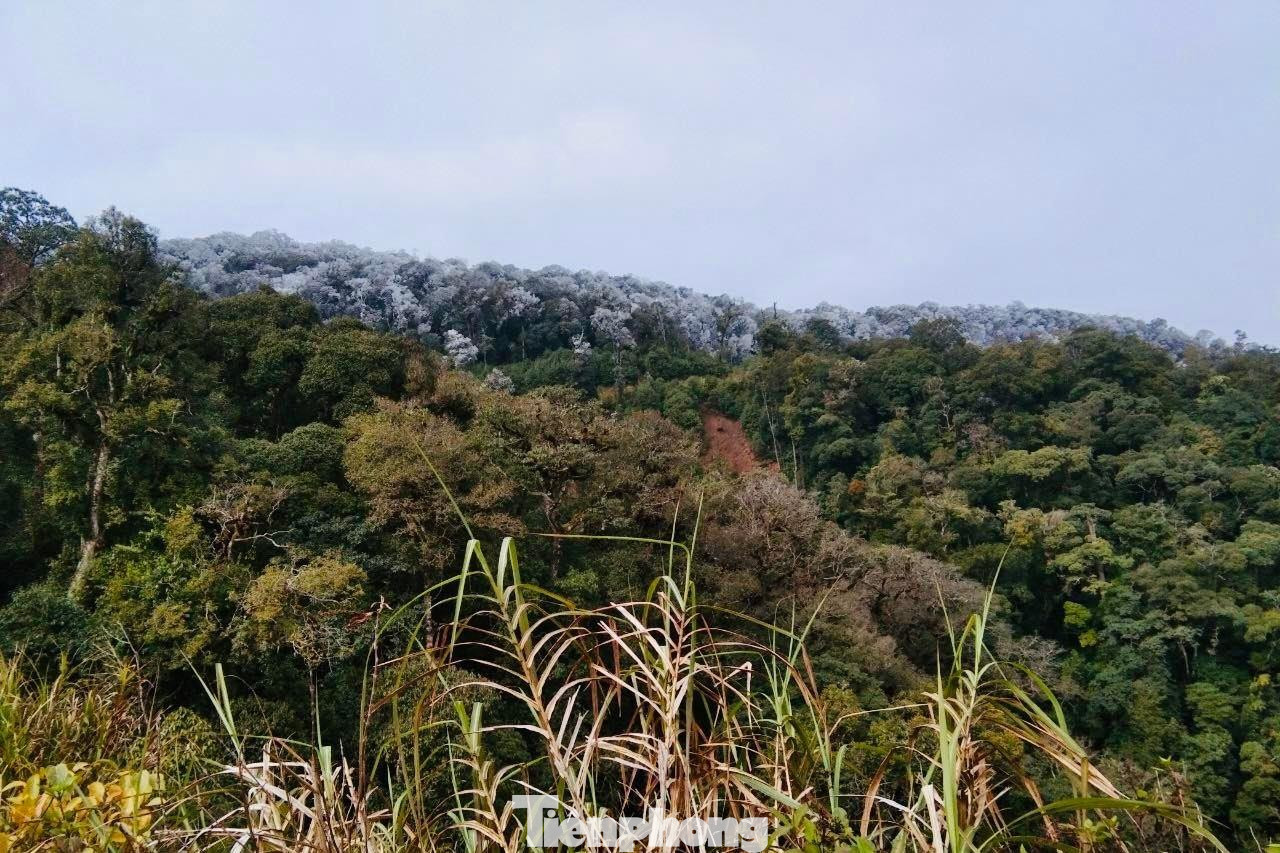 Tuyết phủ trắng cả rừng cây gần Trạm Biên phòng Buộc Mú, Đồn Biên phòng Na Ngoi (Bộ đội Biên phòng Nghệ An). Tuyết phủ trắng cả rừng cây gần Trạm Biên phòng Buộc Mú, Đồn Biên phòng Na Ngoi (Bộ đội Biên phòng Nghệ An).