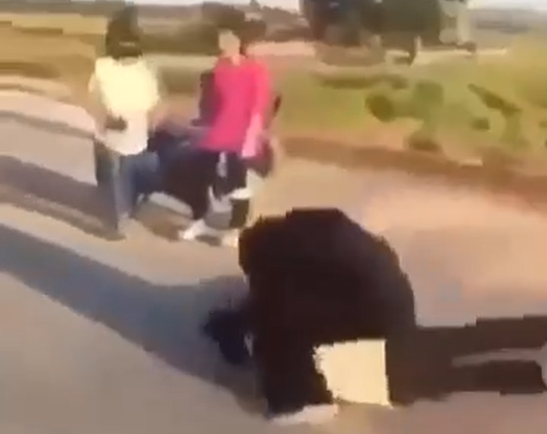 Hình ảnh nữ sinh lớp 10 bị bạn đánh. Ảnh cắt từ clip