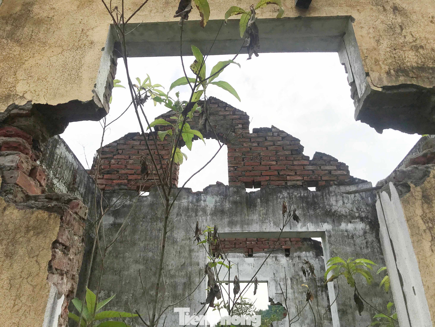 Thời gian dài do không có người sử dụng, phần lớn những căn nhà ở khu tái định Khe Ò chỉ còn trơ trụi lại những bức tường bê tông, cỏ dại mọc um tùm. Nhiều ngôi nhà bị bỏ hoang. Các công trình phụ trợ khác như đường, công trình nước sạch, nhà văn hóa... cũng rơi vào tình trạng hư hỏng, xuống cấp nghiêm trọng. Thời gian dài do không có người sử dụng, phần lớn những căn nhà ở khu tái định Khe Ò chỉ còn trơ trụi lại những bức tường bê tông, cỏ dại mọc um tùm. Nhiều ngôi nhà bị bỏ hoang. Các công trình phụ trợ khác như đường, công trình nước sạch, nhà văn hóa... cũng rơi vào tình trạng hư hỏng, xuống cấp nghiêm trọng.