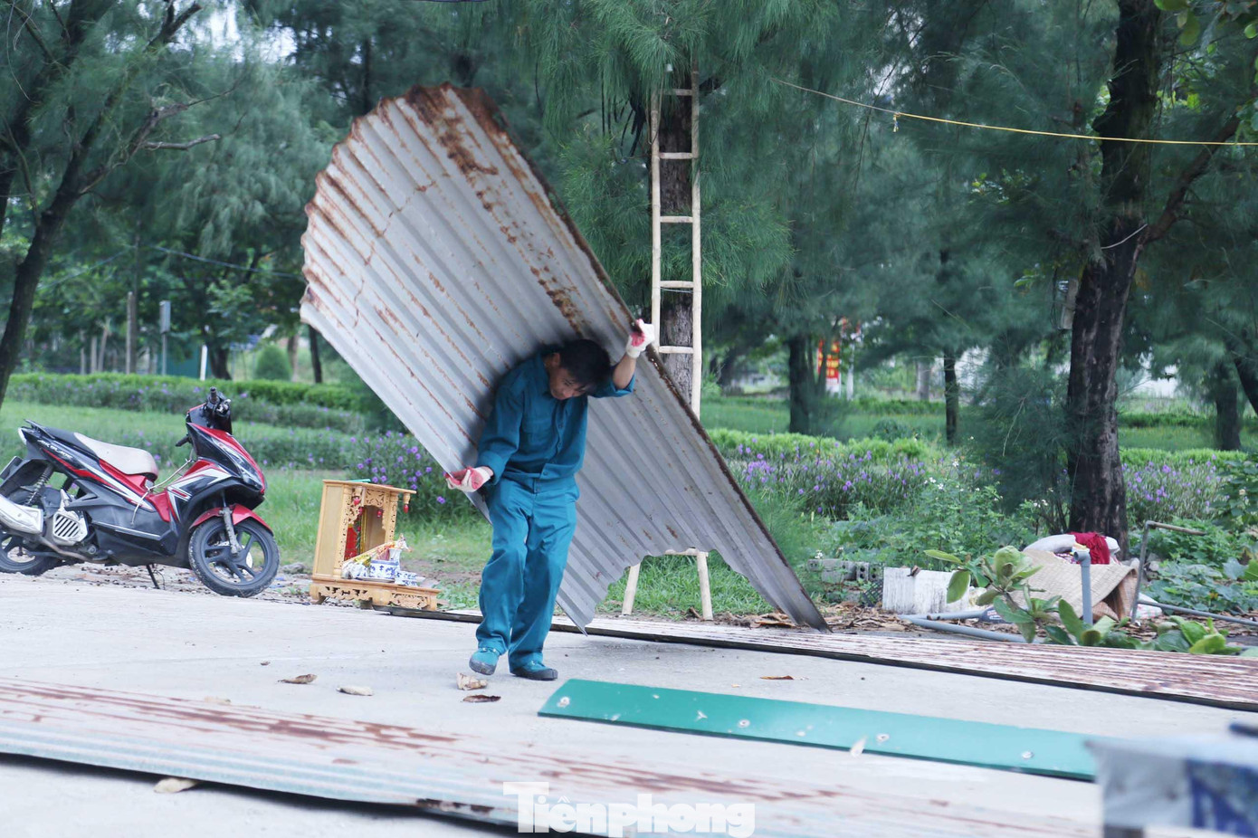 Khom người vận chuyển những tấm tôn dài, sắc nhọn