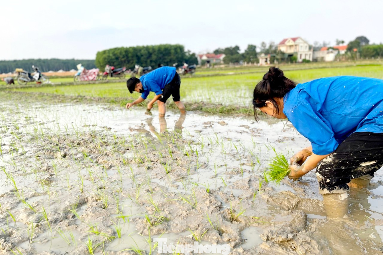 Hoạt động thể hiện tinh thần trách nhiệm, xung kích tình nguyện của tuổi trẻ