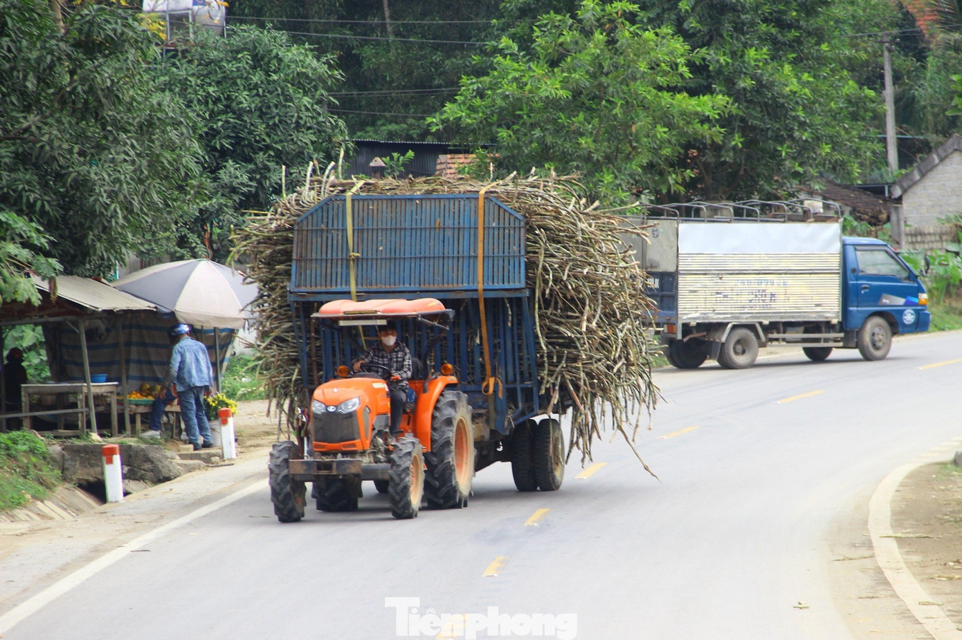 Những ngày này, các lò nấu mật mía ở Tân Hương, huyện Tân Kỳ, Nghệ An hoạt động hết công suất để cho ra những mẻ mật đạt chất lượng nhất. Nguyên liệu để nấu mật là cây mía được trồng tại địa phương.