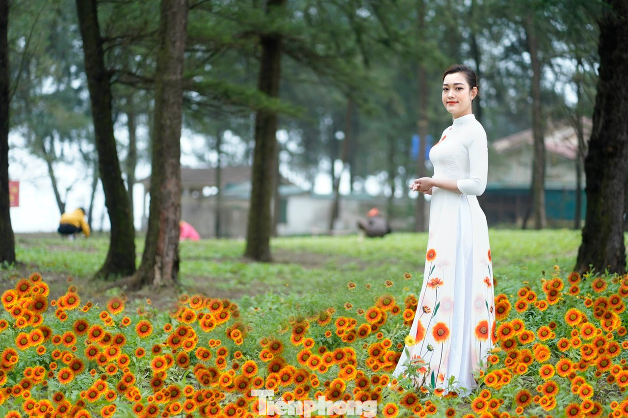 Chương trình được diễn ra từ ngày 4-19/3/2023 với rất nhiều hoạt động ý nghĩa nhằm tôn vinh vẻ đẹp của người phụ nữ Việt Nam qua tà áo dài truyền thống. Đồng thời, quảng bá hình ảnh hoa cúc biển, loài hoa biểu tượng của du lịch biển Cửa Lò. Đây cũng chính là hoạt động mở màn cho chuỗi các hoạt động văn hóa nhằm chào đón năm du lịch Cửa Lò năm 2023.