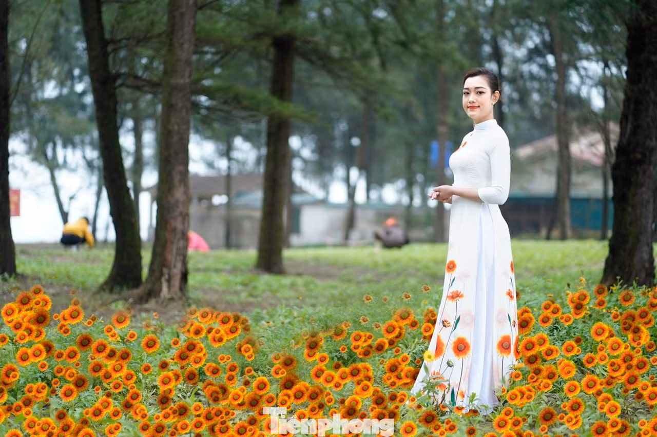 Chương trình được diễn ra từ ngày 4-19/3/2023 với rất nhiều hoạt động ý nghĩa nhằm tôn vinh vẻ đẹp của người phụ nữ Việt Nam qua tà áo dài truyền thống. Đồng thời, quảng bá hình ảnh hoa cúc biển, loài hoa biểu tượng của du lịch biển Cửa Lò. Đây cũng chính là hoạt động mở màn cho chuỗi các hoạt động văn hóa nhằm chào đón năm du lịch Cửa Lò năm 2023.