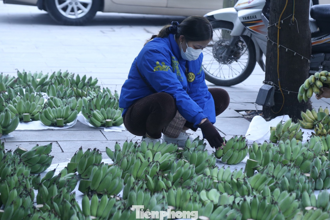 Tại một gian hàng bán chuối ở đường Hermann, nải chuối lẻ được hô giá 300.000 đồng, một nải khác ít quả hơn nhưng kích cỡ to hơn có giá 200.000 đồng. Chị Nguyễn Thị Phương người bán cho biết, giá này vẫn chưa phải đắt nhất. Chiều qua anh đã bán được một nải to đẹp hơn thế này giá 400.000 đồng. Tại một gian hàng bán chuối ở đường Hermann, nải chuối lẻ được hô giá 300.000 đồng, một nải khác ít quả hơn nhưng kích cỡ to hơn có giá 200.000 đồng. Chị Nguyễn Thị Phương người bán cho biết, giá này vẫn chưa phải đắt nhất. Chiều qua anh đã bán được một nải to đẹp hơn thế này giá 400.000 đồng.