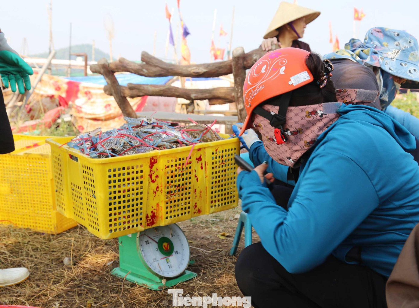 Ghẹ là loại hải sản có giá trị kinh tế cao và được các nhà hàng, thương lái thu mua với số lượng lớn. Hiện giá bán tại bến ghẹ loại 1 là 250.000 đồng/kg, loại 2 giá 150.000 - 170.000 đồng/kg.