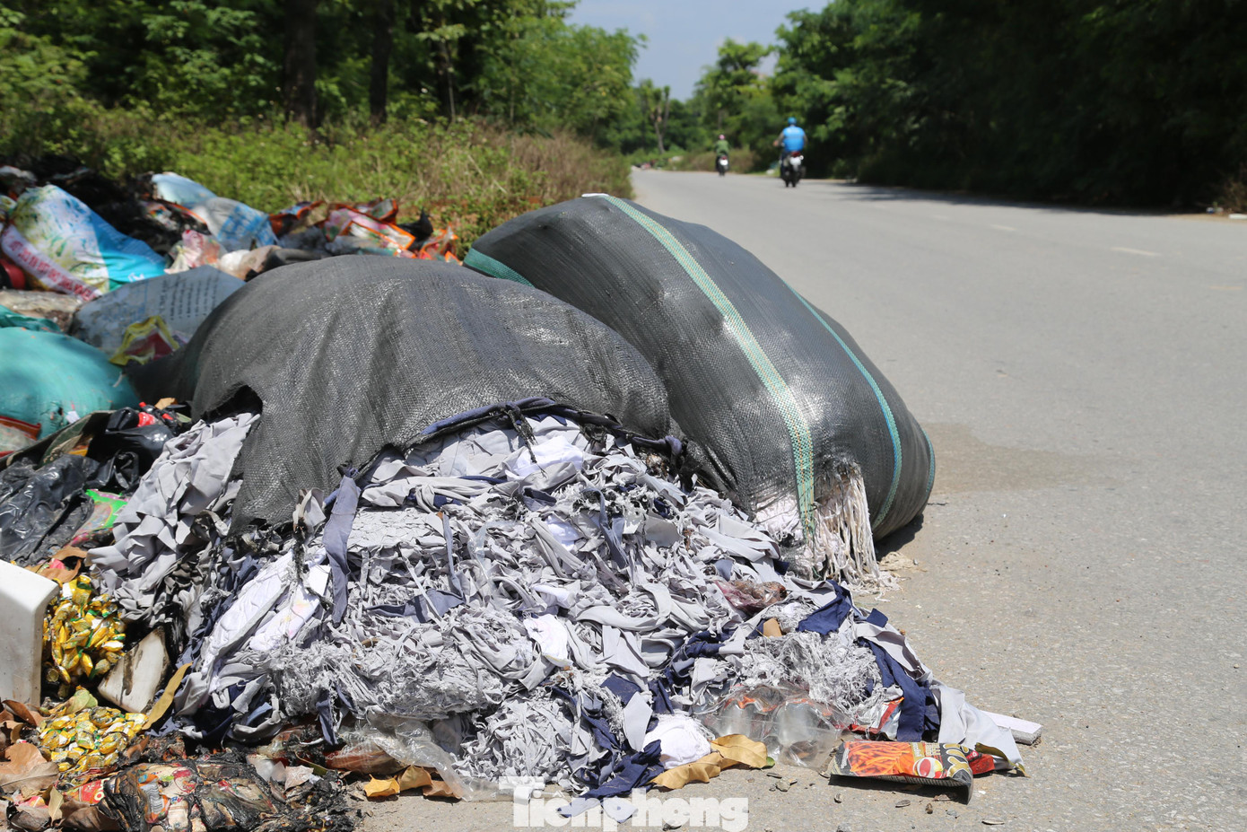 Đủ các loại rác được tập kết tại đây