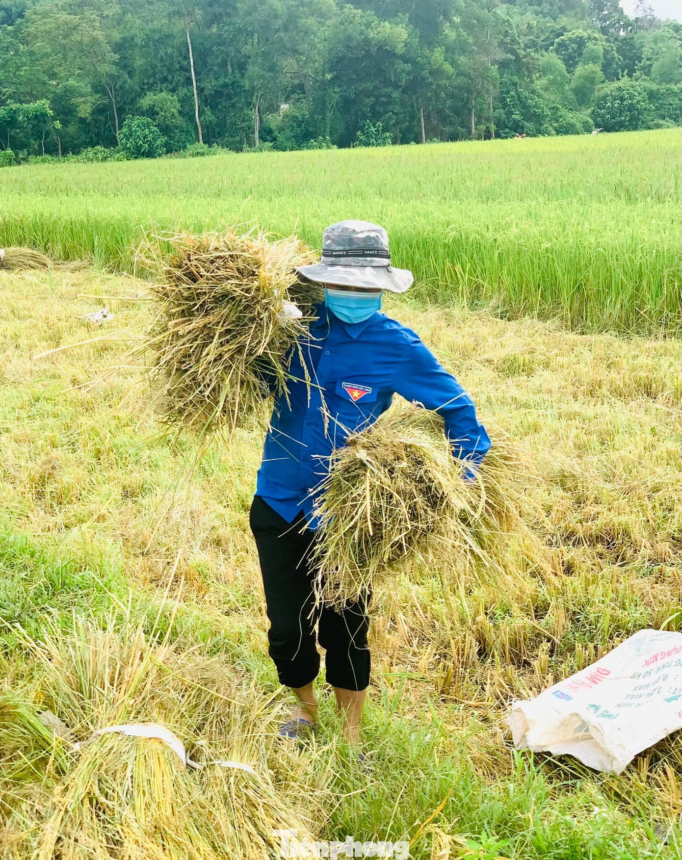 Với phương châm thu hoạch "cuốn chiếu", làm nhà nào gọn nhà đó, trong đó, ưu tiên hỗ trợ những nhà chính sách, hộ khó khăn. Quá trình gặt, các bạn trẻ luôn hết sức chú ý đảm bảo an toàn phòng chống dịch COVID-19.