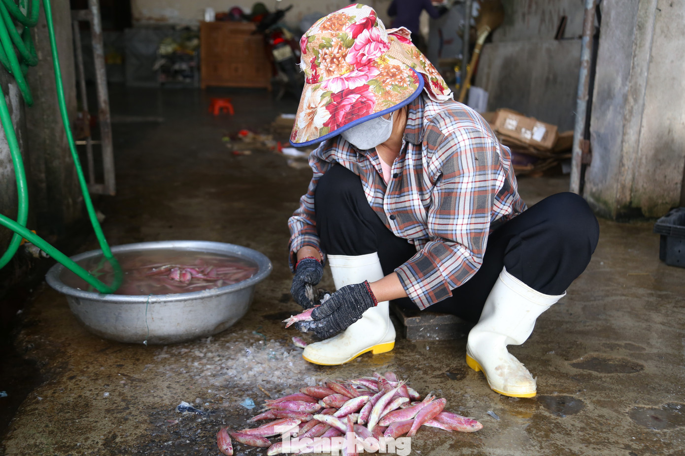 Trước khi nướng, cá sẽ được làm sạch. Sau đó tùy loại mà người thợ để cả con hay cắt ra từng khúc đều đặn rồi đem phơi cho ráo nước rồi mới đem vào nướng.