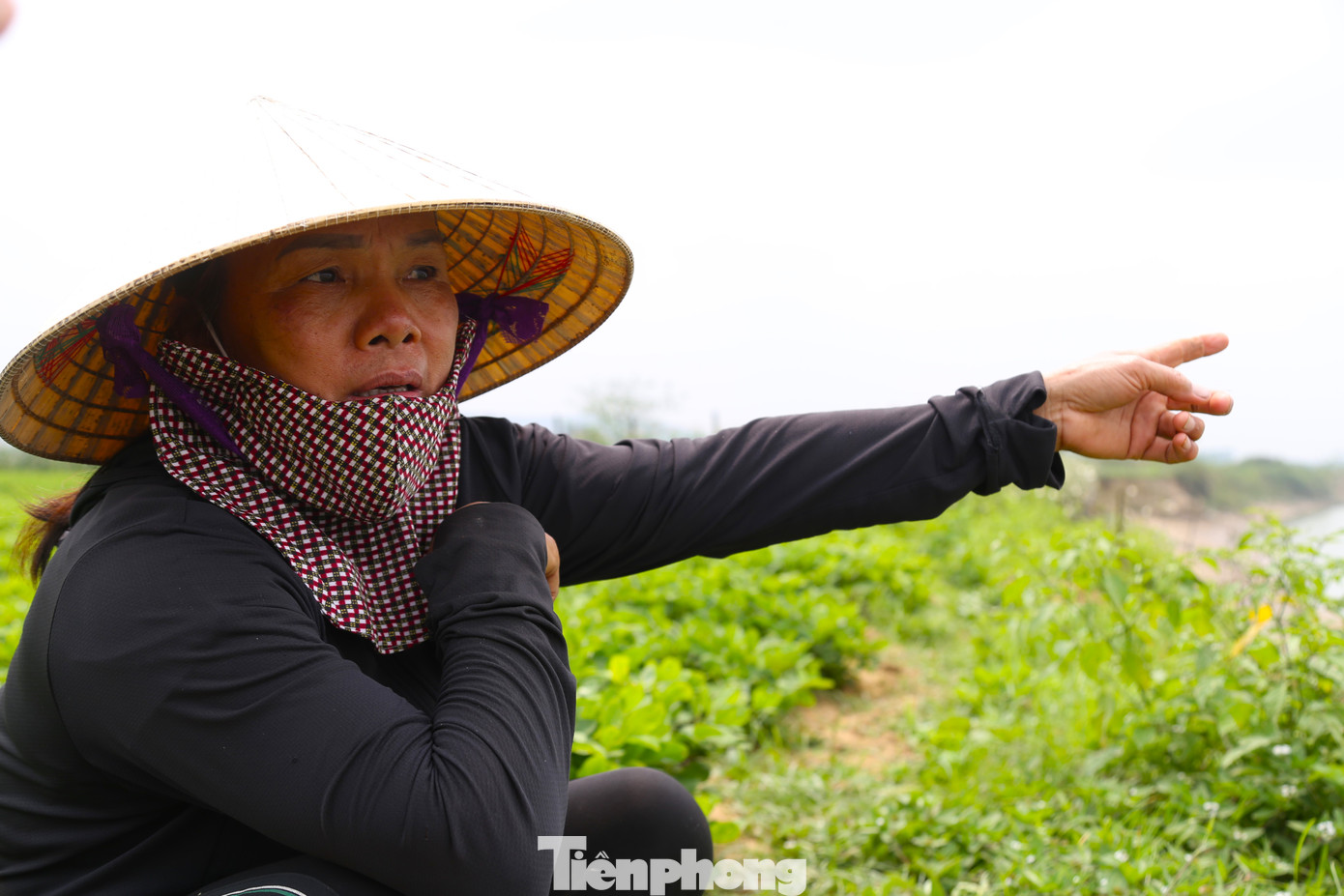 Bà Trần Thị Thu (trú xóm Tân Long, xã Long Xá) chia sẻ: “Mấy năm gần đây, bờ sông Lam lở ngày một nhanh và nặng hơn. Nhìn bờ sông cuốn đi từng mét đất mà ai cũng xót, lo lắng đất sản xuất rồi sẽ trôi xuống sông. Chúng tôi rất mong cấp trên sớm xây kè chống sạt lở”.