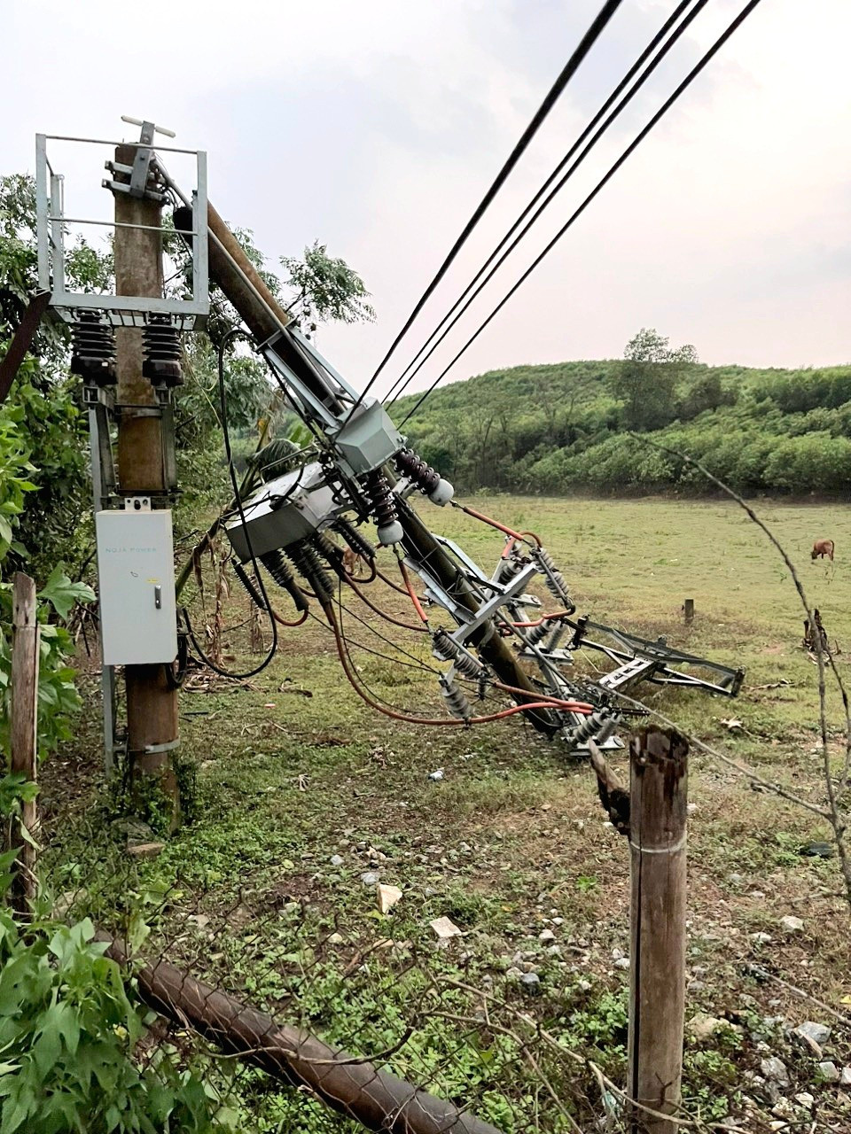 Cột điện bị đứt gãy chiều 7/5 Cột điện bị đứt gãy chiều 7/5