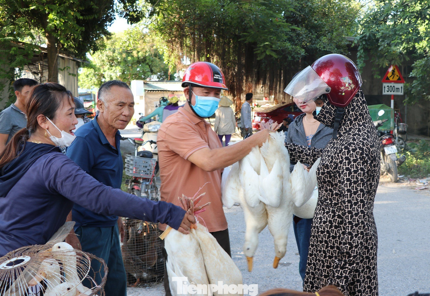 Theo quan niệm dân gian, thịt vịt có tính hàn, phù hợp với thời tiết oi nóng của miền Trung trong quãng tháng 5, tháng 6 âm lịch hàng năm. Theo quan niệm dân gian, thịt vịt có tính hàn, phù hợp với thời tiết oi nóng của miền Trung trong quãng tháng 5, tháng 6 âm lịch hàng năm.