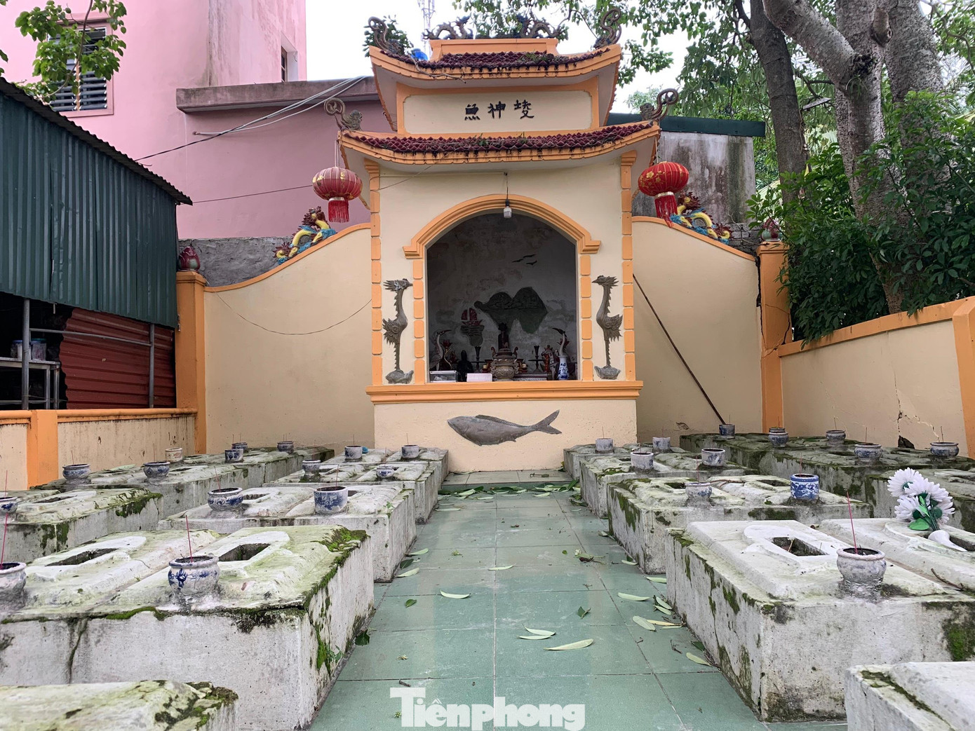 Để thể hiện lòng tôn kính đối với cá ông và các vị thần linh, cứ 2 năm một lần, nhằm ngày 14/3 âm lịch, người dân phường Nghi Hải lại tổ chức lễ hội Cầu Ngư, cầu cho mưa thuận gió hòa, trời yên biển lặng, mong thuyền chài đánh bắt được nhiều tôm cá.