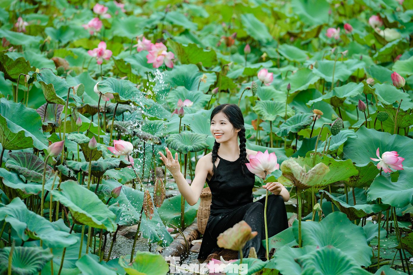 Vào mùa sen, nhiều bạn trẻ rủ nhau đến các đầm sen từ rất sớm để có thể chụp được những bức ảnh đẹp nhất.