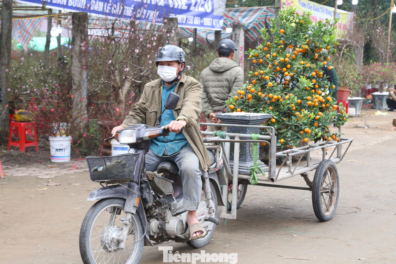 Công việc chở cây cảnh thuê ngày Tết đem lại nguồn thu nhập gấp nhiều lần ngày thường cho các tài xế xe ôm.