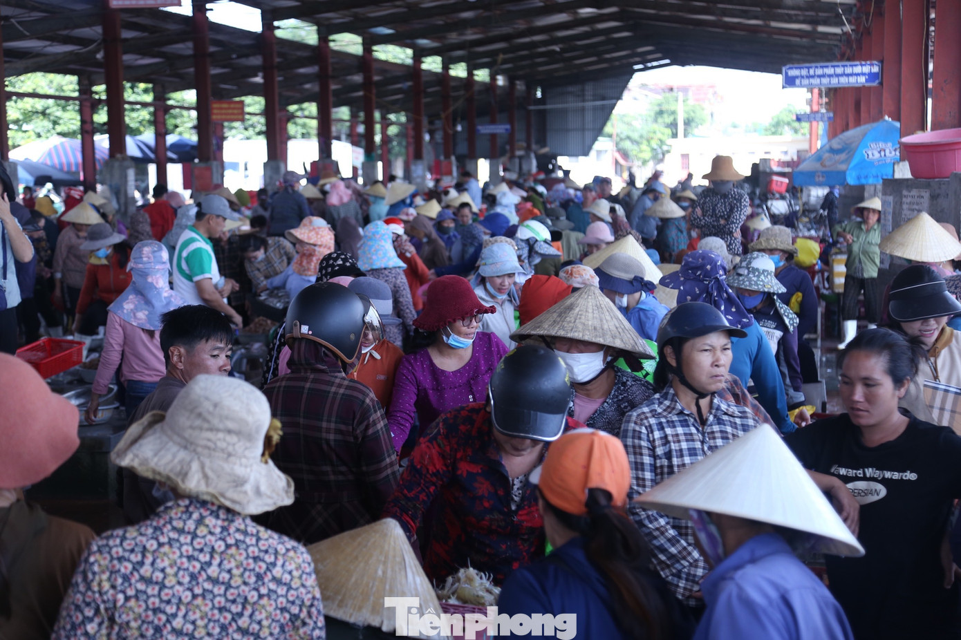 Cảnh mua bán nhộn nhịp, khẩn trương bên trong cảng cá.