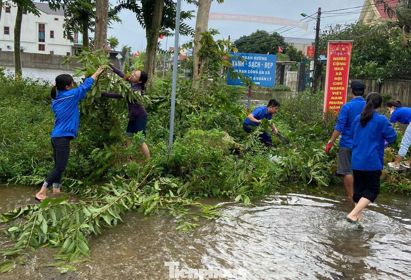 Dọn dẹp các cây xanh bị gãy đổ
