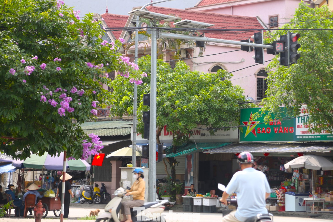 Với màu tím đặc trưng, hoa bằng lăng thu hút mọi ánh nhìn mỗi khi đi qua. Trong ảnh, cây bằng lăng tím biếc trên đường Lê Mao kéo dài.
