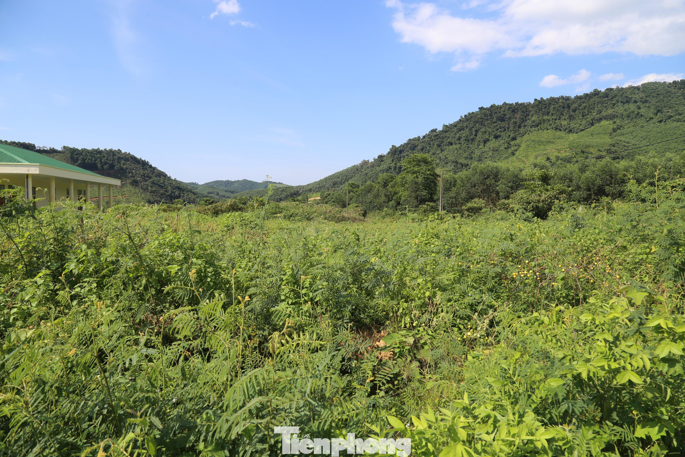 Tuy nhiên, đến nay, điểm tái định cư Triều Dương đã hoàn thành và đưa vào sử dụng từ năm 2015, bố trí nơi ở cho 45 hộ dân. Còn điểm tái định cư Khe Mừ dự kiến bố trí cho 120 hộ dân đang sống rải rác dọc sông thuộc các xã Võ Liệt, Thanh Chi, Phong Thịnh, thị trấn Thanh Chương vẫn đang trong tình trạng dang dở.