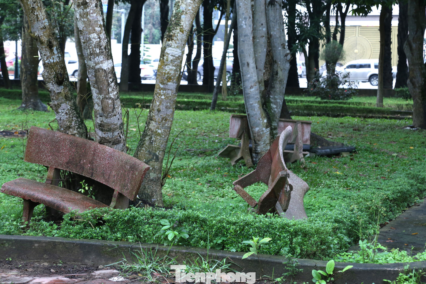 Toàn bộ ghế đá trong công viên đều đã bị gãy đổ, hư hỏng.