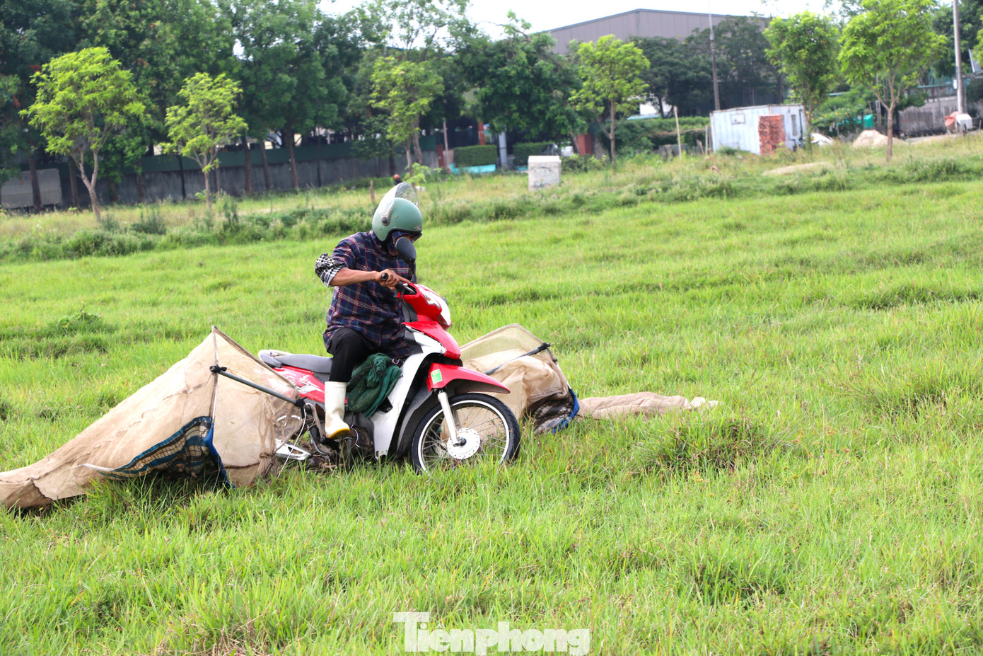 Ở các cánh đồng bỏ hoang, mặt ruộng không bằng phẳng, hình thành nhiều ụ cỏ, ổ gà, ổ voi. Địa hình lồi lõm ẩn dưới lớp cỏ dày là thách thức đối với thợ bắt châu chấu.