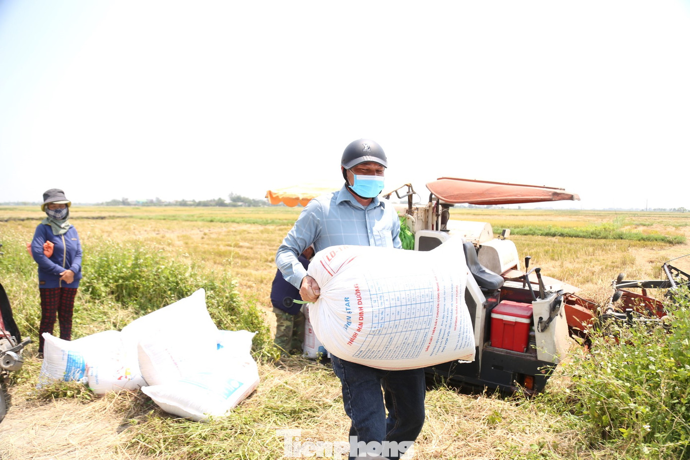 12 giờ trưa, anh Nguyễn Văn Sang (29 tuổi, trú xã Hưng Tây, huyện Hưng Nguyên) vẫn tất bật với công việc vác lúa thuê. “Một vụ gặt thường diễn ra trong khoảng 10 - 15 ngày. Chính vì thế, những ngày này chúng tôi làm quần quật cả ngày đêm. Tiền công mỗi chuyến họ lấy từ 100.000 đến 150.000 đồng, tùy theo quãng đường gần hay xa”, anh Sang cho hay. 12 giờ trưa, anh Nguyễn Văn Sang (29 tuổi, trú xã Hưng Tây, huyện Hưng Nguyên) vẫn tất bật với công việc vác lúa thuê. “Một vụ gặt thường diễn ra trong khoảng 10 - 15 ngày. Chính vì thế, những ngày này chúng tôi làm quần quật cả ngày đêm. Tiền công mỗi chuyến họ lấy từ 100.000 đến 150.000 đồng, tùy theo quãng đường gần hay xa”, anh Sang cho hay.