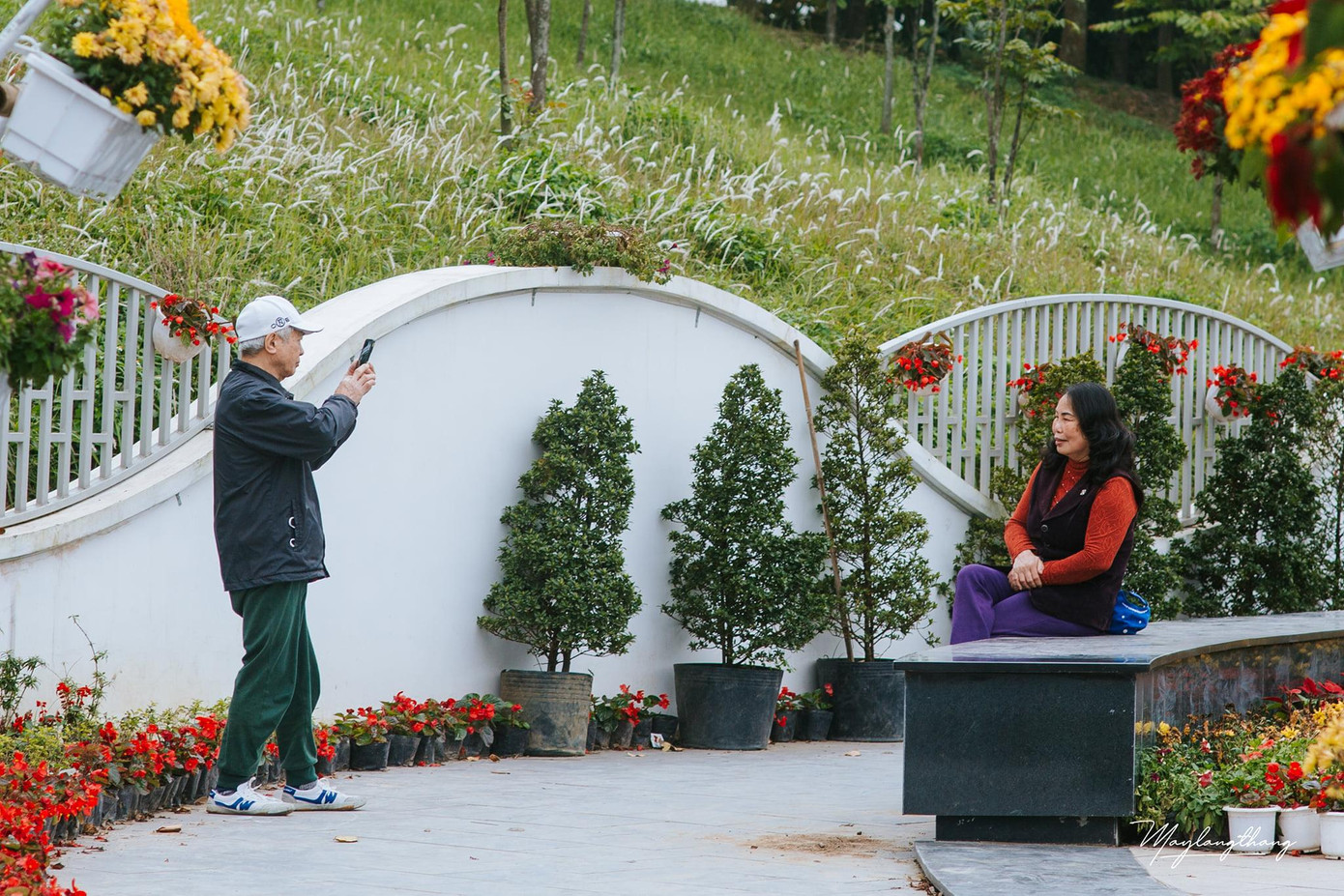 Bức ảnh ông chụp cho bà khiến nhiều bạn trẻ thích thú. Bức ảnh ông chụp cho bà khiến nhiều bạn trẻ thích thú.