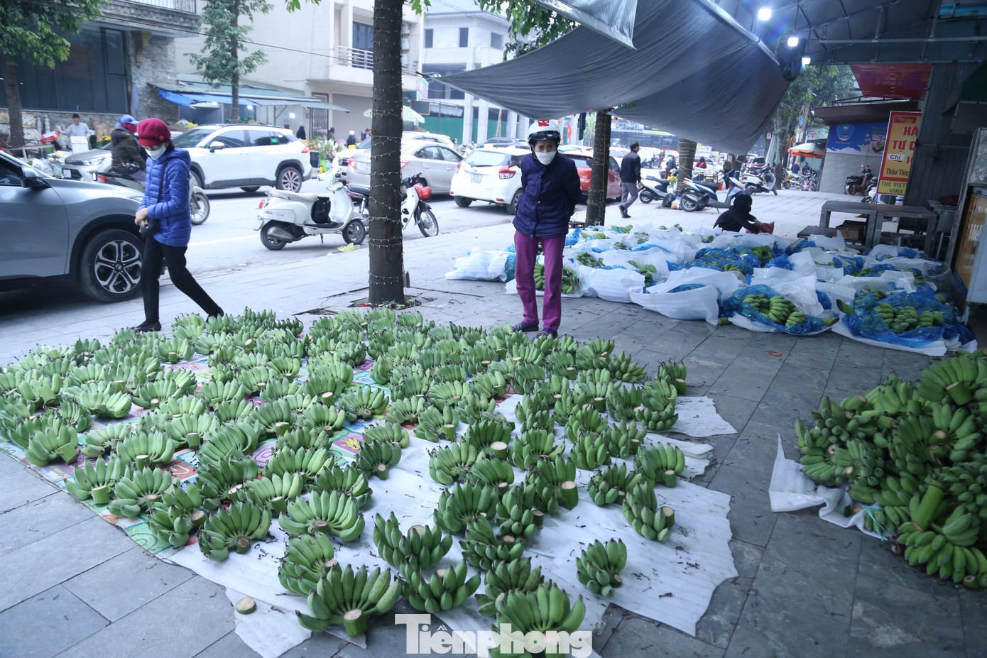Dịp này, anh Nguyễn Hải Giang (trú tỉnh Hưng Yên) đưa 400 buồng chuối về thành phố Vinh, Nghệ An để bán Tết. Theo anh Giang, chuối xanh năm nay khan hàng, nguyên nhân là do thời tiết bất lợi, mưa nhiều, chuối trổ buồng muộn hơn mọi năm nên không kịp Tết. Do đó, giá chuối tăng từ 20-30%”. Dịp này, anh Nguyễn Hải Giang (trú tỉnh Hưng Yên) đưa 400 buồng chuối về thành phố Vinh, Nghệ An để bán Tết. Theo anh Giang, chuối xanh năm nay khan hàng, nguyên nhân là do thời tiết bất lợi, mưa nhiều, chuối trổ buồng muộn hơn mọi năm nên không kịp Tết. Do đó, giá chuối tăng từ 20-30%”.