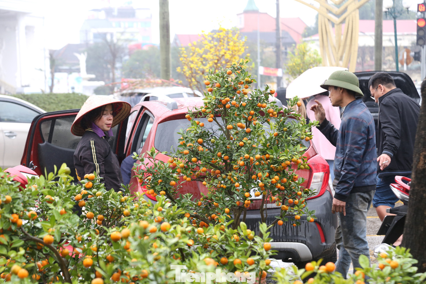 Chiều 30 Tết, khi các loại hoa, cây cảnh đã giảm giá thì việc trao đổi, mua bán cũng diễn ra nhanh hơn.