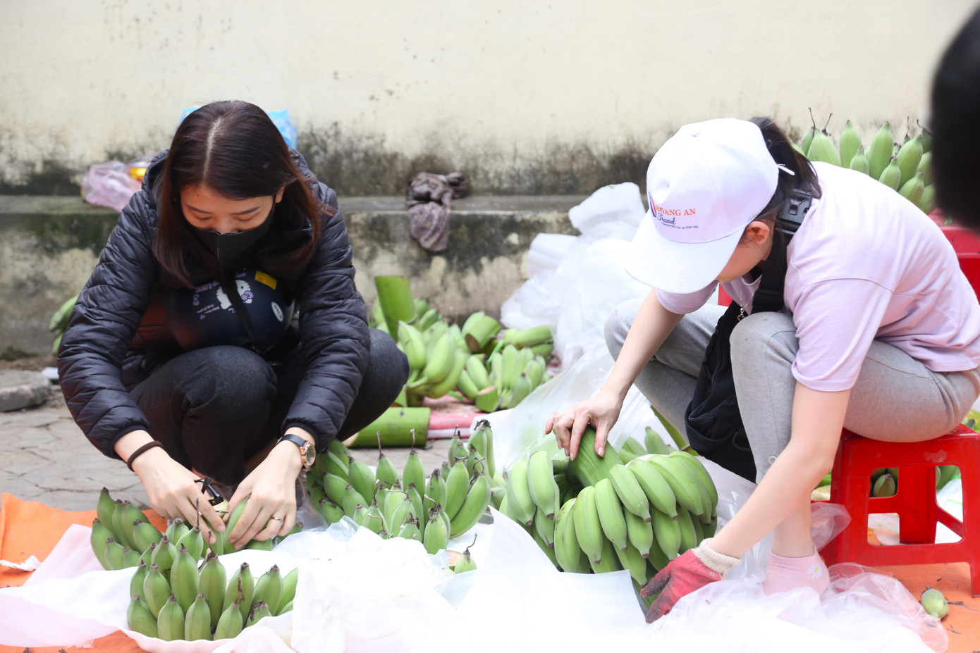 Chị Nguyễn Thị Giang, tiểu thương bán chuối tại chợ Quang Trung, TP Vinh cho biết, càng về sát Tết, giá chuối càng tăng cao, gấp 5-6 lần ngày thường. “Giá chuối dao động từ 100.000 - 150.000 đồng/nải. Đắt nhất là những nải chuối lẻ (15,17,19), có râu, quả đều, đẹp có giá bán không dưới 300.000 đồng. Từ ngày 25 tháng Chạp, giá chuối bắt đầu tăng cao, người mua cũng khá đông. Tôi bán theo nải, nải nào quả đẹp, số lẻ thì giá cao, nải nào kém hơn thì giá thấp hơn”, chị Giang nói.