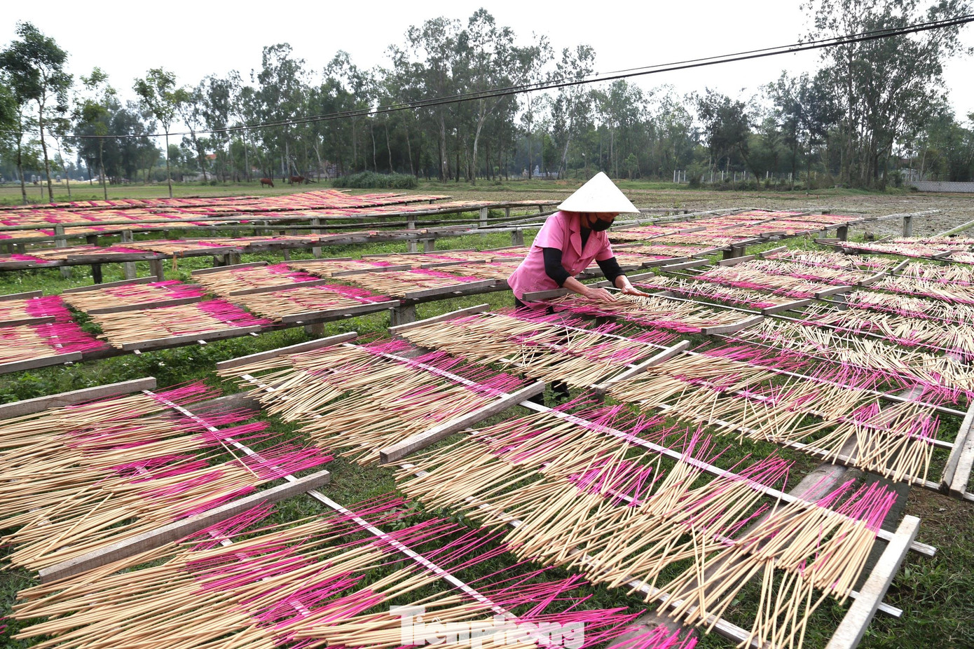 Về làng nghề làm hương thẻ Tây Lân những ngày này, đâu đâu cũng bắt gặp hình ảnh người dân tất bật với công đoạn làm hương. Tận dụng thời tiết nắng ráo, người dân làng nghề tất bật làm hương để phục vụ nhu cầu tiêu thụ vào dịp Tết Nguyên đán.
